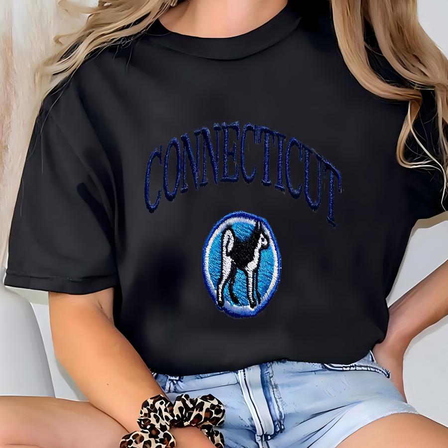 Connecticut Sweatshirt, Husky Shirt, Vintage Crewneck , Varsity College Sweatshirt T-shirt