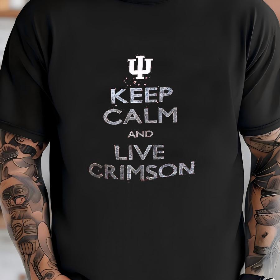 Women's A Unversity Acid Wash Detstroyed Cropped Hoodie | A Keep Calm Shirt | Female A Apparel | A Acid Wash Shirt T-shirt