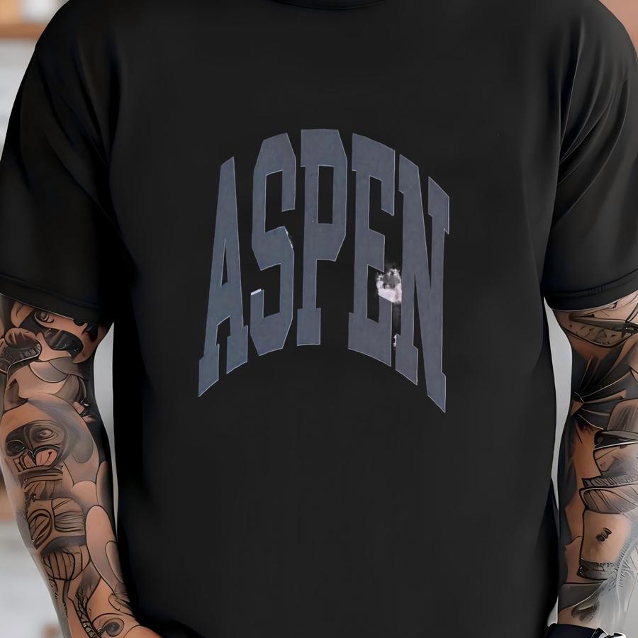 Aspen Sweatshirt Faded Vintage Aesthetic Aspen Colorado Crewneck Vintage Varsity Style Minimalist Unisex Aspen Ski Sweatshirt T-shirt