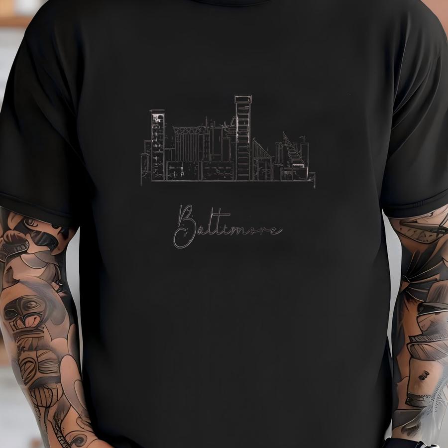 Baltimore Sweatshirt, Baltimore Pullover, City Skyline Sweater, Women Crewneck, Men Hoodie Shirt, Travel Souvenir Gift, Cute Vintage Clothes T-shirt