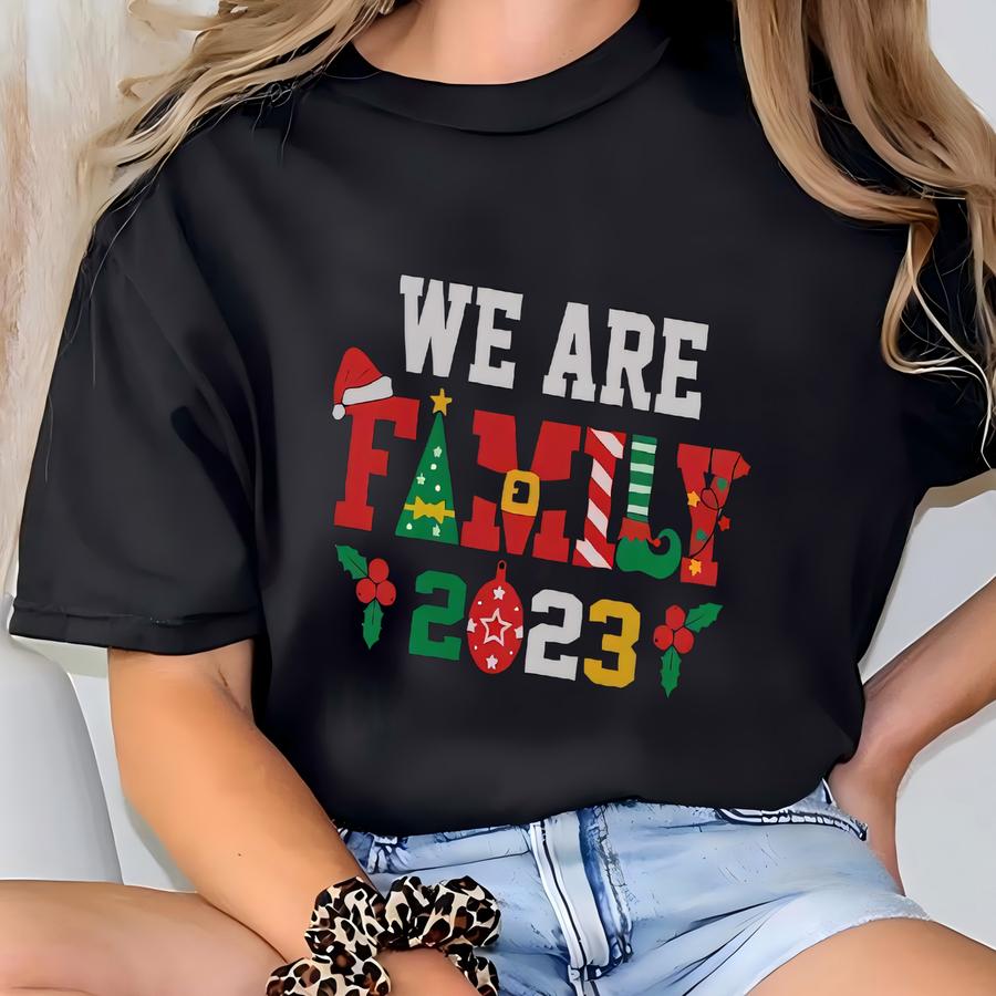 We Are Family Sweatshirt, Christmas Gifts, Family Vacation Sweatshirt,christmas Family Hoodie, Christmas Sweatshirt, Christmas Family Hoodie T-shirt