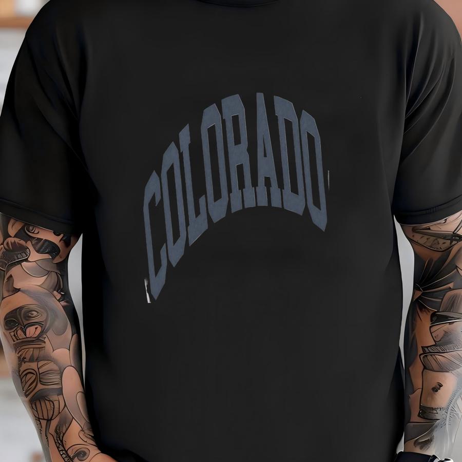 Colorado Sweatshirt Faded Vintage Aesthetic Ski Colorado Crewneck Varsity Style Minimalist Unisex Colorado Sweatshirt T-shirt