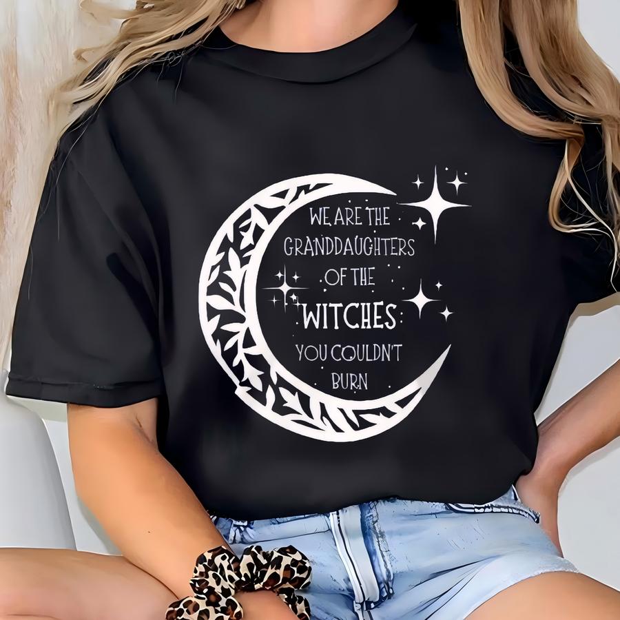 We Are The Granddaughters Of The Witches You Couldn't Burn T Shirt, M Witch Trials Tee, 1692, Unisex Hoodie T-shirt