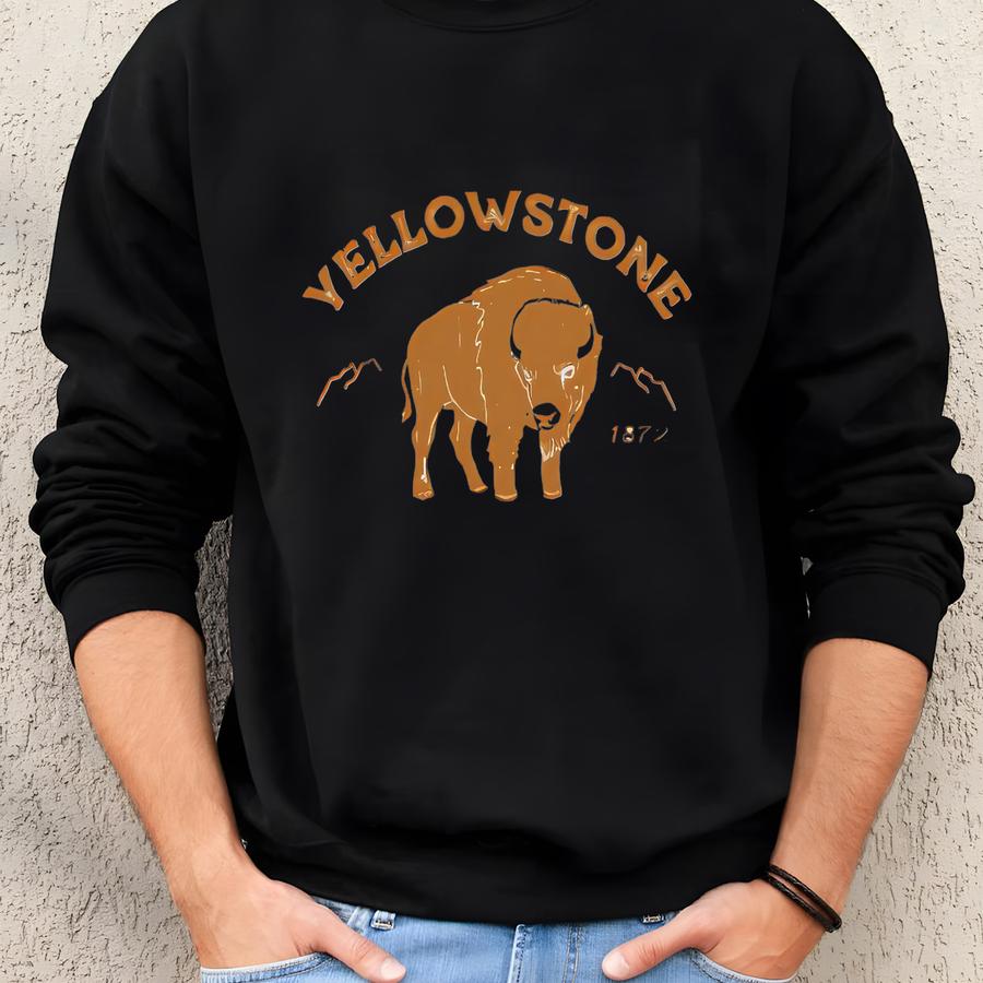 Buffalo National Park T-shirt: Summer Travel Graphic Tee - Tl20277 Sweatshirt