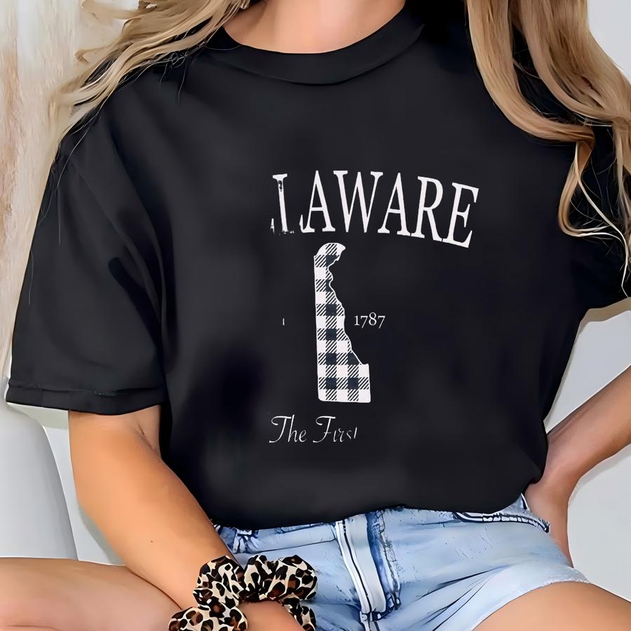 Custom Delaware Shirt, Vacation Shirts, Road Trip Shirt, Traveler Gift, States Crewneck, Delaware, Delaware Crewneck, Delaware Moving Gift T-shirt