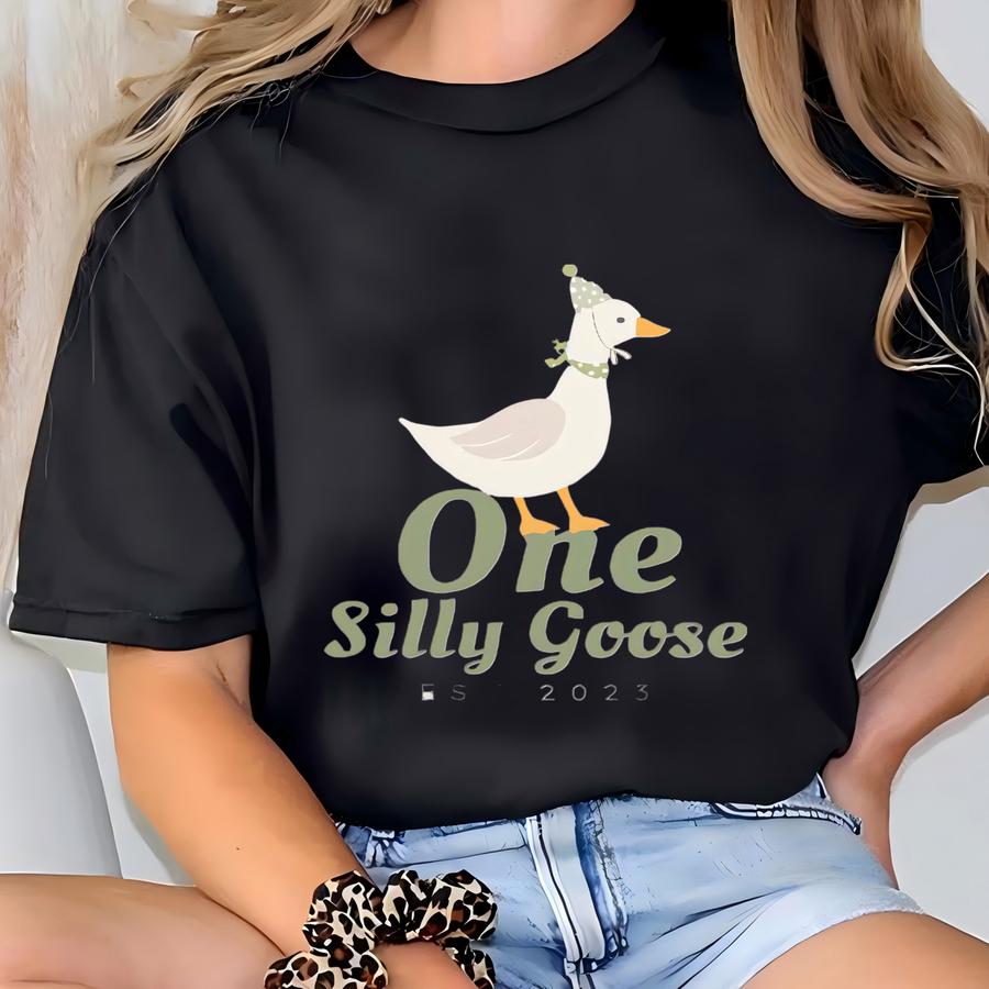 One Silly Goose Shirt, 1st Birthday Party Shirt, One Silly Goose Birthday Shirt, One Year Old Shirt, 1 Year Old Birthday Gift, Birthday Tee T-shirt