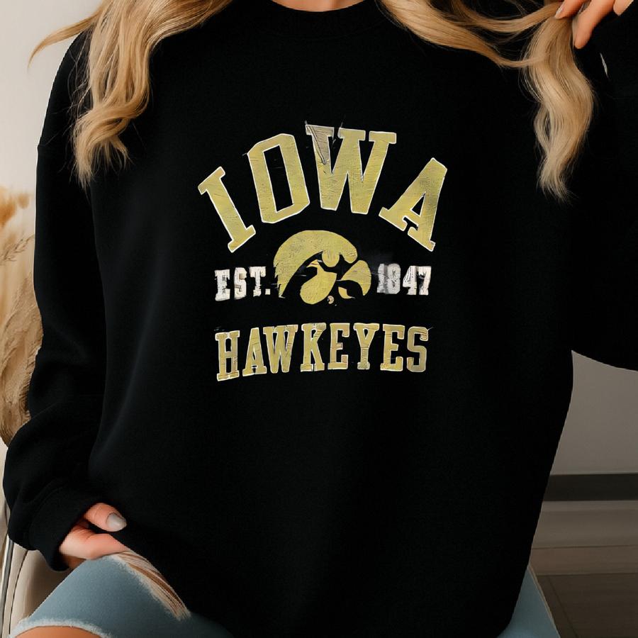 Vintage Ncaa Iowa Hawkeyes Sweatshirt Iowa Pullover Sweater Iowa Crewneck Jumper Iowa Hawkeyes Logo Graphic Grey Colour Small Size Men Sweatshirt