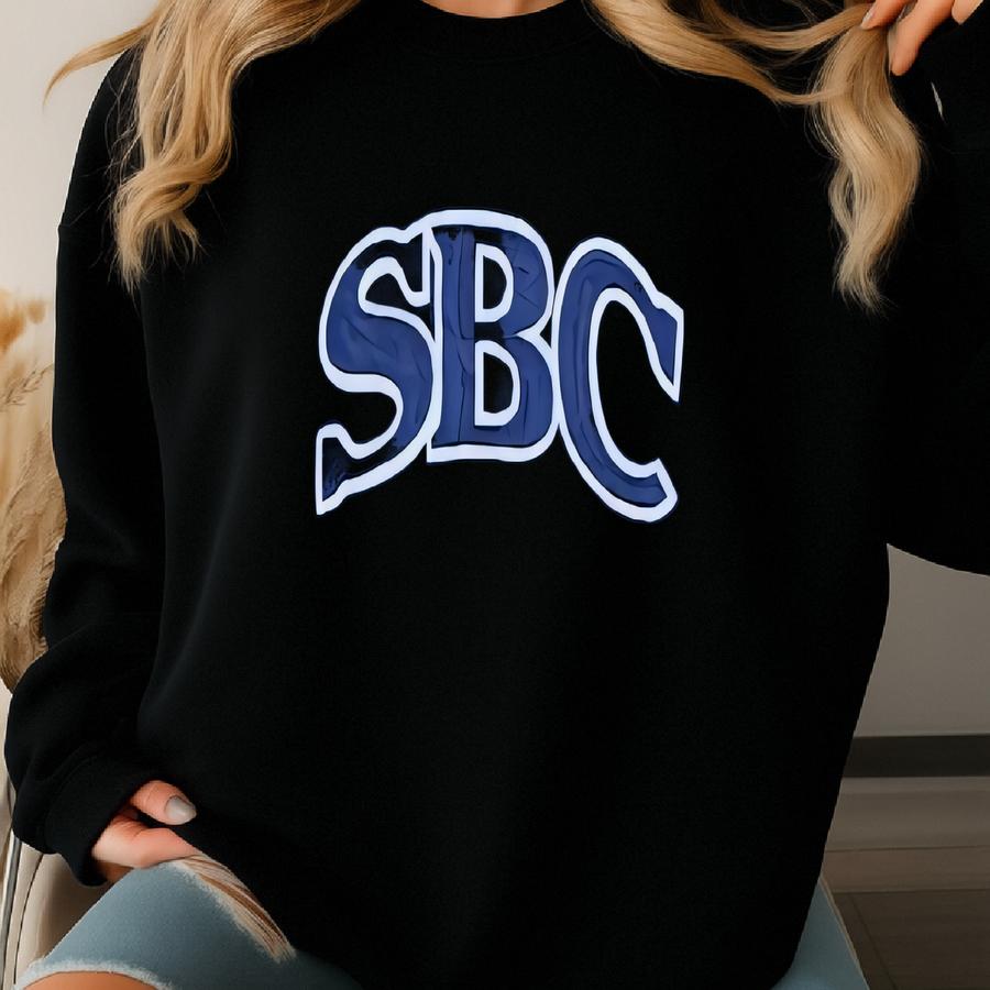 Vintage Sweet Briar College Sweatshirt Sweet Briar College Pullover Sweet Briar College Crewneck Sweet Briar College Y Logo Sweatshirt
