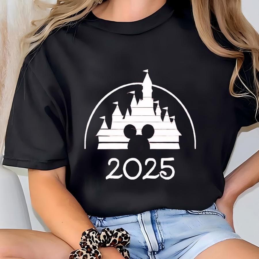 Family Trip 2025 Tee Shirt, Custom Trip Hoodie, Castle 2025 Shirts, 2025 Family Vacation Tee, Family Tee T-shirt