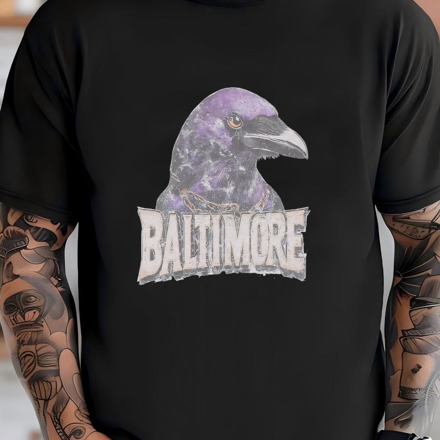 Vintage Baltimore Raven Football Crewneck, American Sports Sweatshirt, Us Sports Clothing, Football Fan Gift, Football Lover Apparel T-shirt