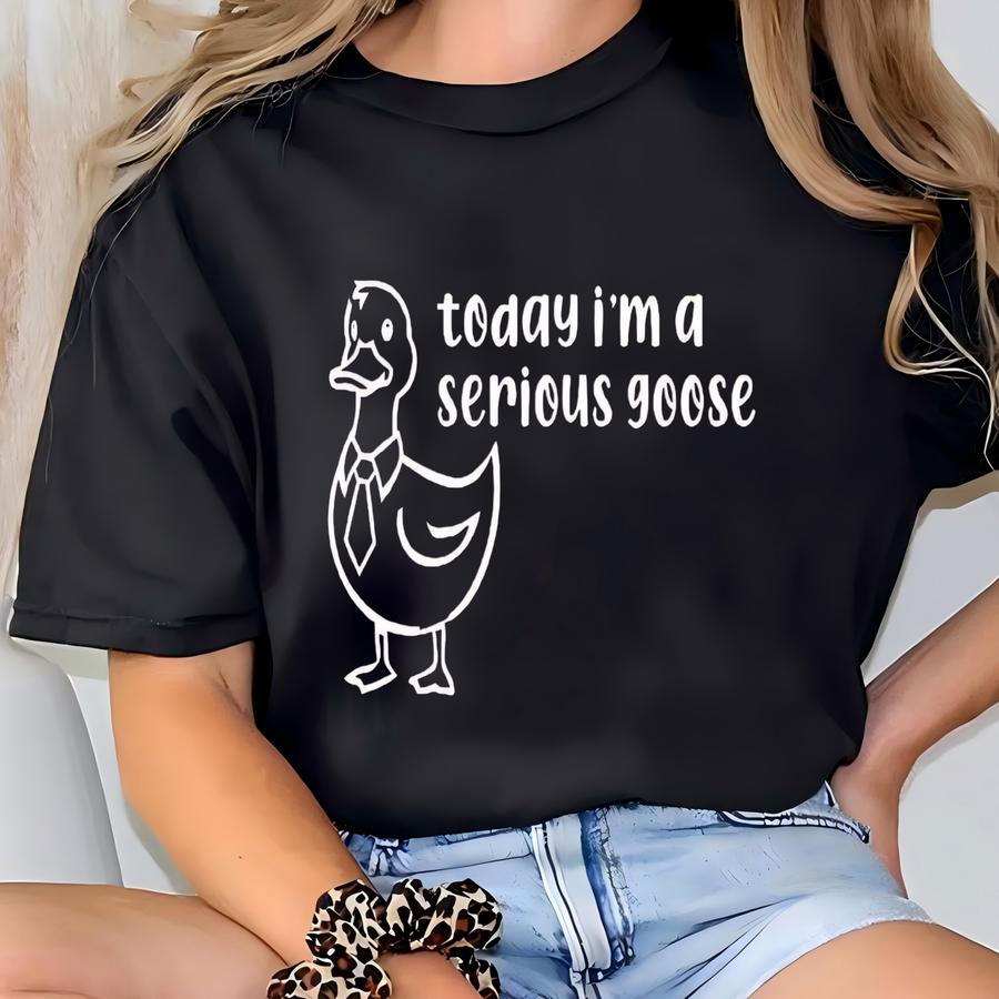 Funny Silly Goose Sweatshirt: Meme Hoodie, Animal Lover Gift T-shirt