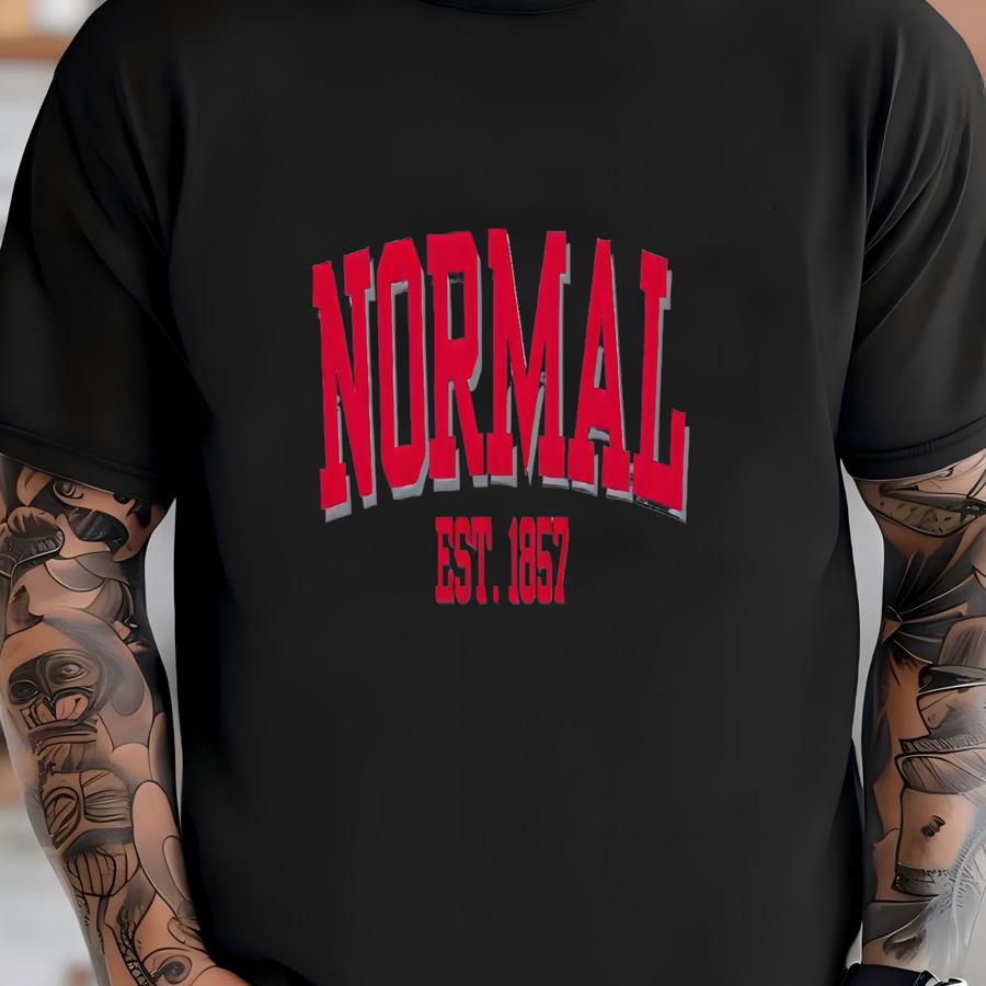 Normal Illinois Sweatshirt, Retro College Crewneck, Vintage University Pullover, Game Day Gift For Students And Fans T-shirt