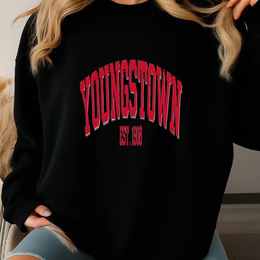 Youngstown Sweatshirt Penguins Vintage Ohio Crewneck Cozy College Pullover Retro Gift For Students And Fans Sweatshirt