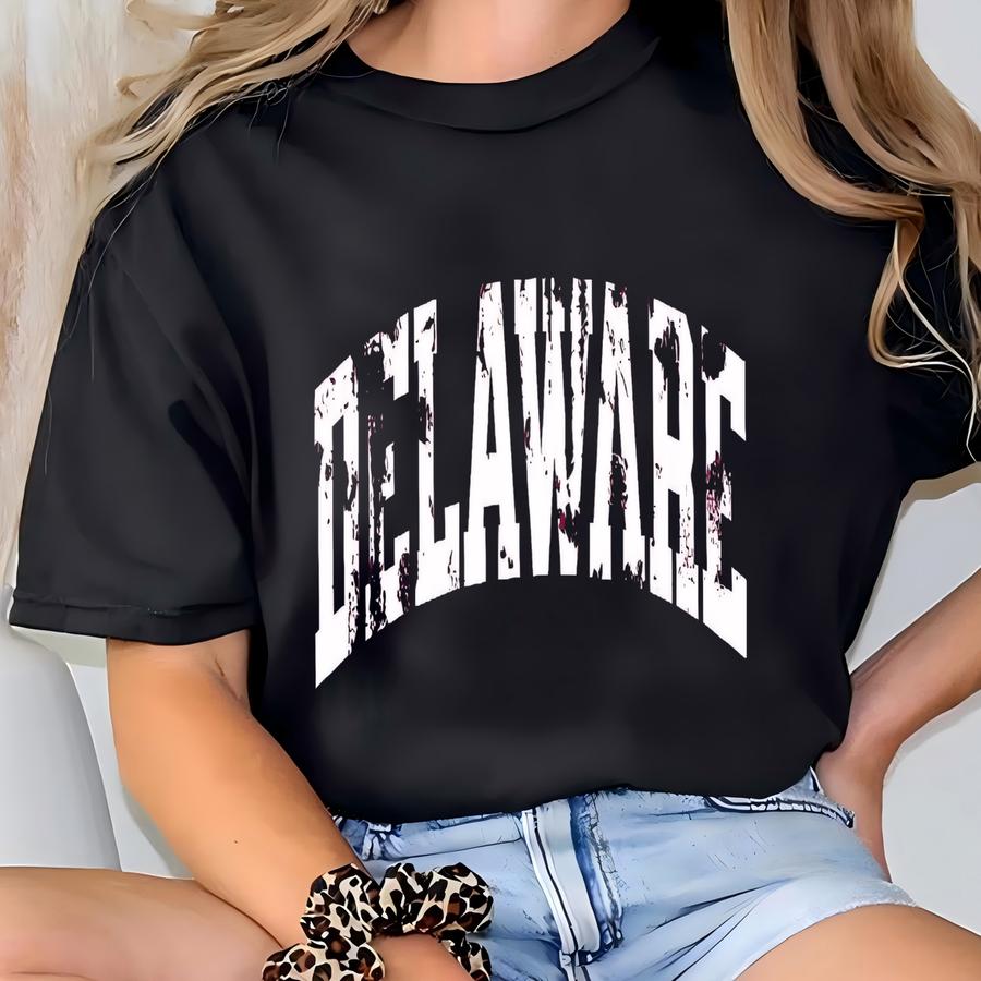 Vintage Delaware Sweater, Retro Delaware Sweater, Vintage Delaware Sweatshirt, Delaware State Sweater, Delaware Souvenir Sweater, De Gifts T-shirt