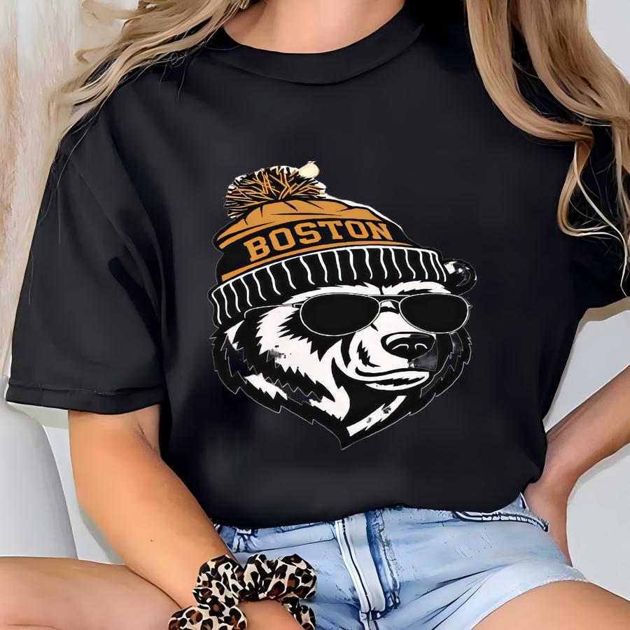Boston Hockey Shirt, Hockey Gameday Shirt, Boston Hockey Apparel, Bruin Sports Apparel, Retro Bruin Hockey Gift, Fan Gift T-shirt