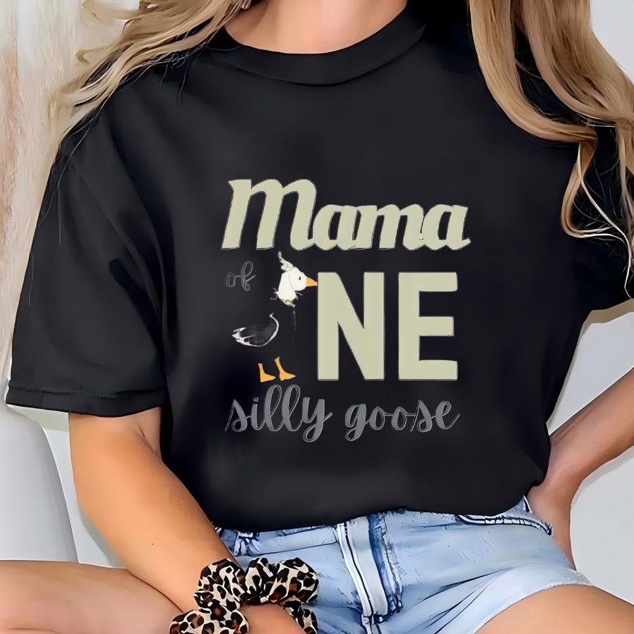 One Silly Goose Shirt, 1st Birthday Party Shirt, One Silly Goose Birthday Shirt, One Year Old Shirt, 1 Year Old Birthday Gift, Birthday Tee T-shirt