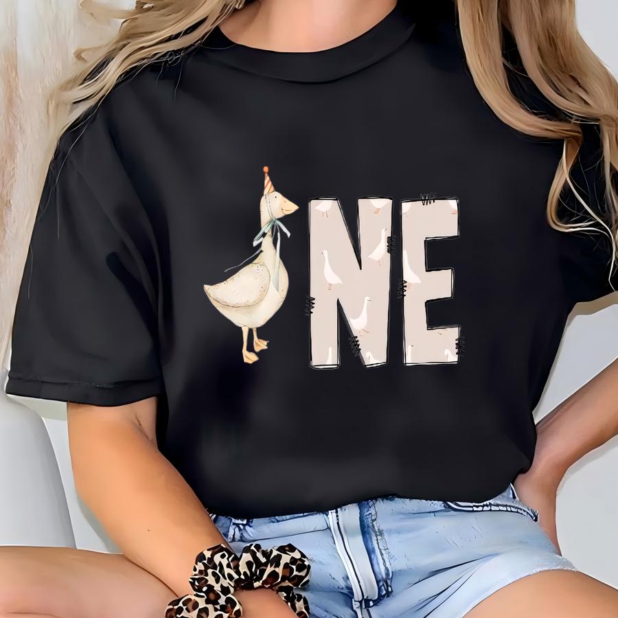 One Silly Goose Shirt, 1st Birthday Party Shirt, One Silly Goose Birthday Shirt, One Year Old Shirt, 1 Year Old Birthday Gift, Birthday Tee T-shirt