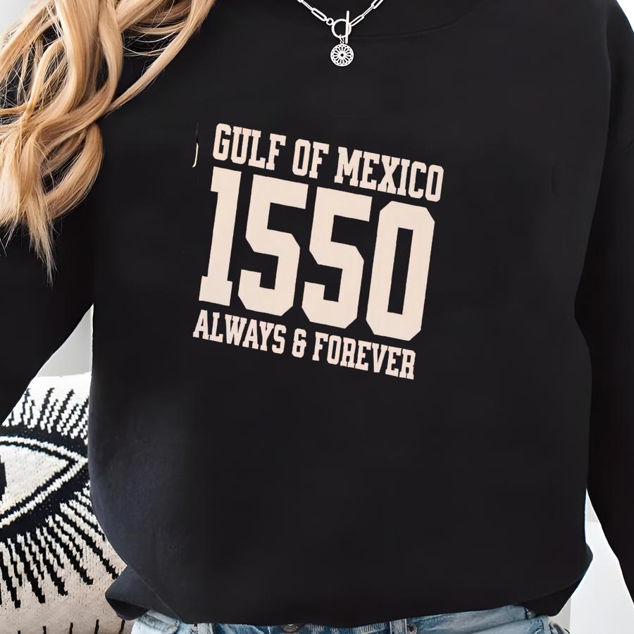 Forever Shirt, Vintage Gulf T Shirt, Texas Louisiana Mississippi Florida, Liberal Resist Tee, Mexico Gift 1550 Sweatshirt
