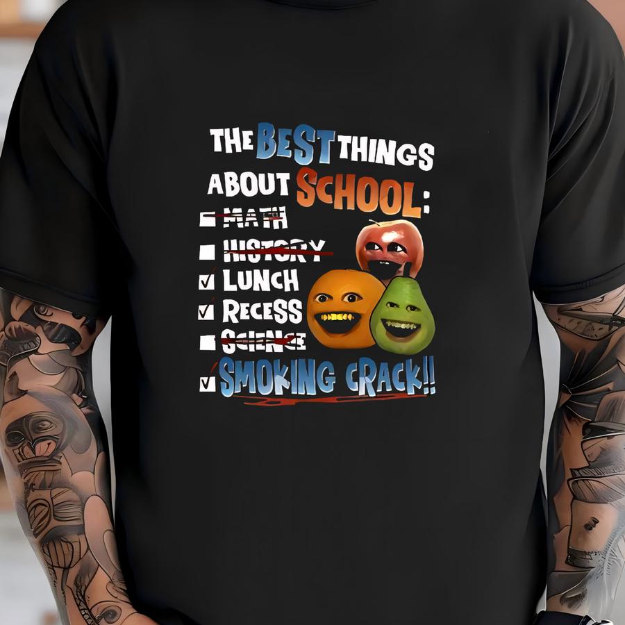 Annoying Orange Crack Hoodie, The Best Things About School Sweatshirt, Annoying Orange Meme Parody Funny, Rnb Hoodie, Funny Gift Idea T-shirt