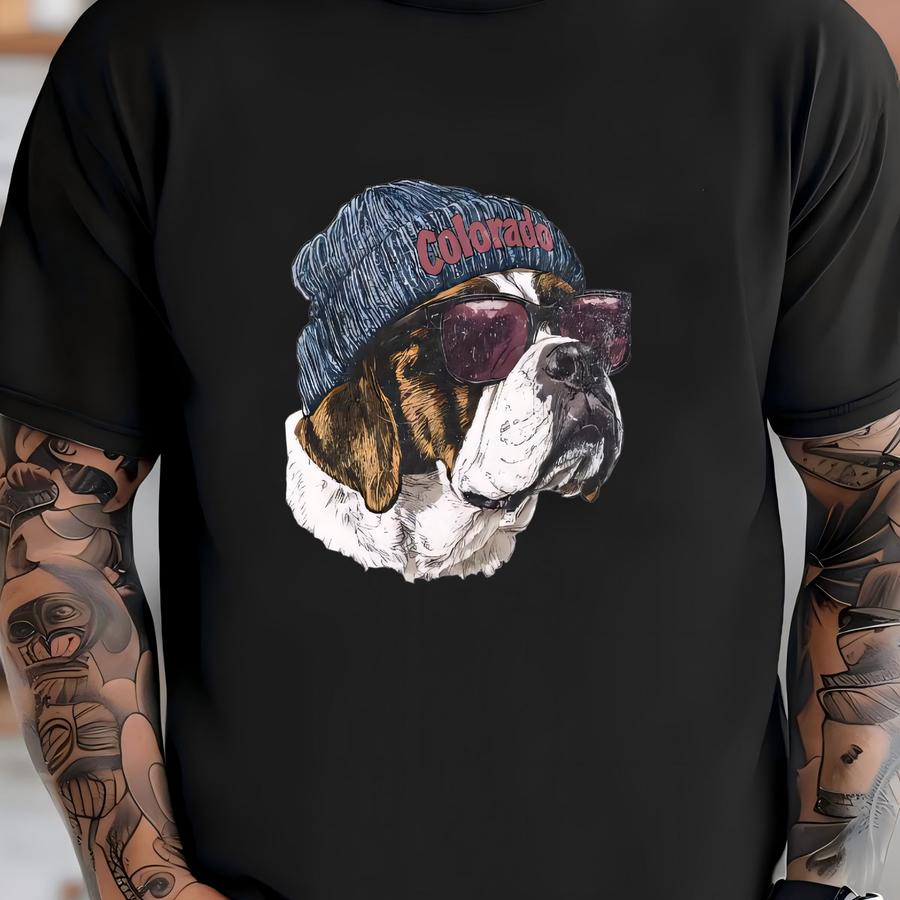 Colorado Hockey Retro Crewneck Sweatshirt, Vintage Rocky Mountain Hockey Jumper, Unisex 90s Style Throwback Sweater, Avalanche Fan Apparel, T-shirt