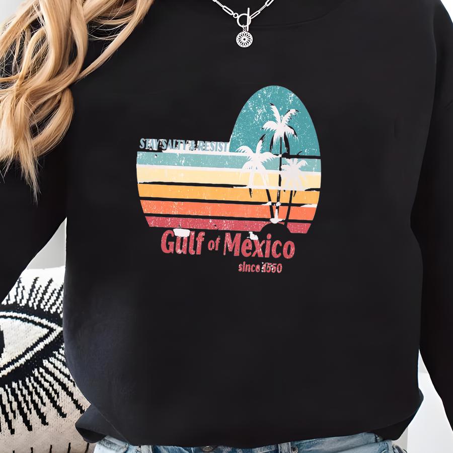 T-shirt: Funny Retro Graphic Tee, Distressed Political Satire Humor Shirt, Democrat Gift,  Resist Sweatshirt