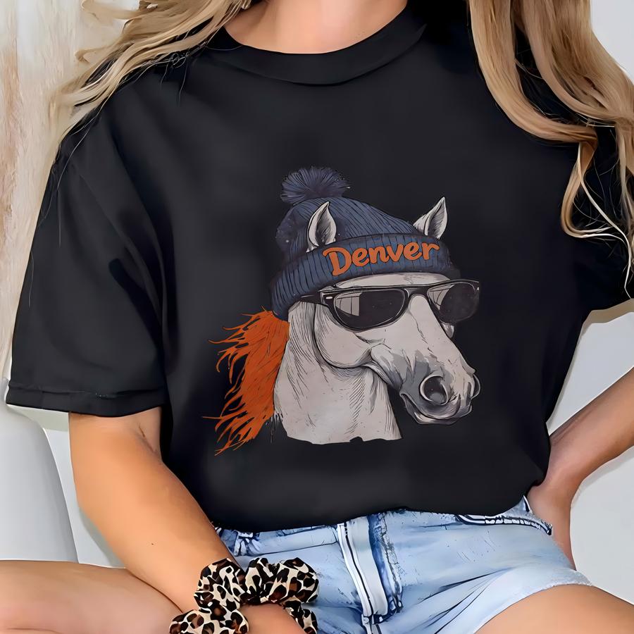 Vintage 90s Denver Football Hoodie: Retro Mascot, Game Day Tee, Sweatshirt, Hoodie T-shirt