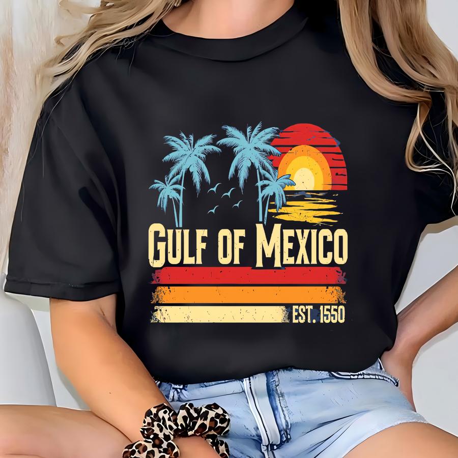 Resistance Shirt,democrat Gift Shirt-gulf Shirt Texas Mississippi Louisiana Florida- Patriotic Shirt T-shirt