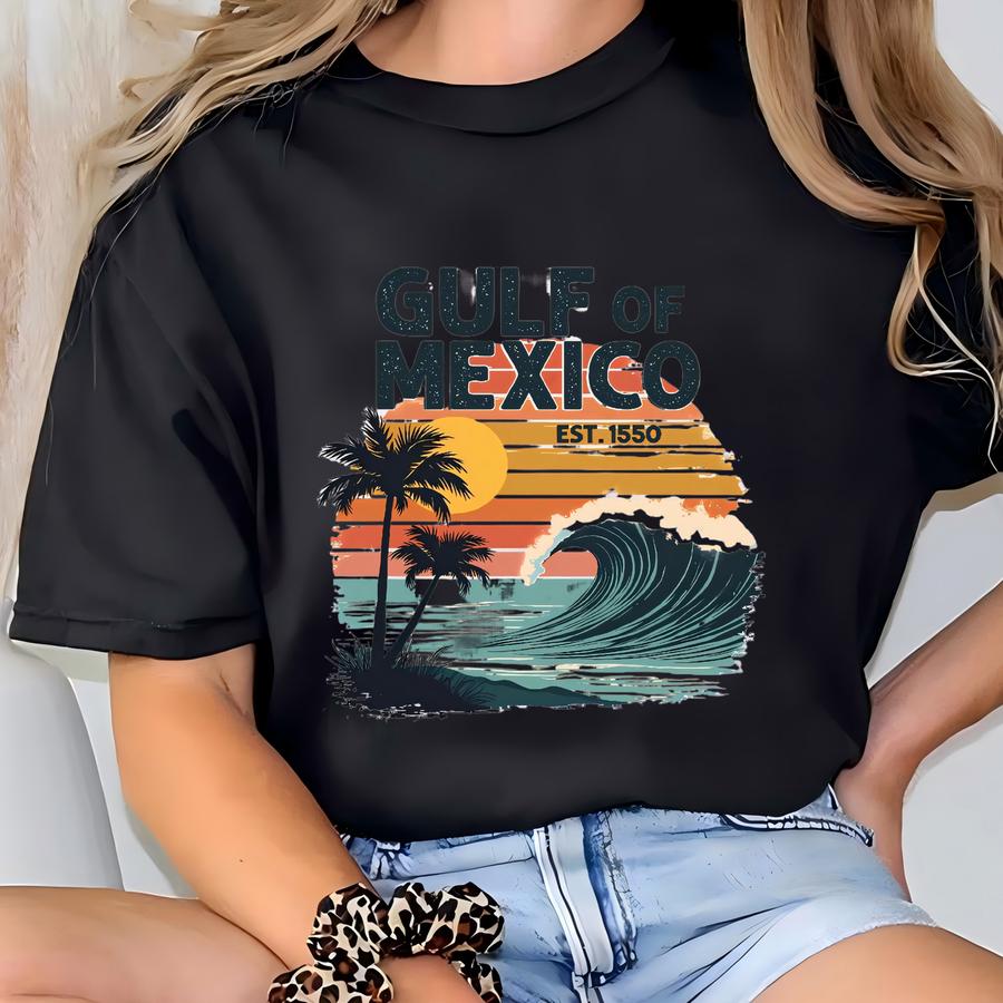 Resistance Shirt,democrat Gift Shirt-gulf Shirt Texas Mississippi Louisiana Florida- Patriotic Shirt T-shirt