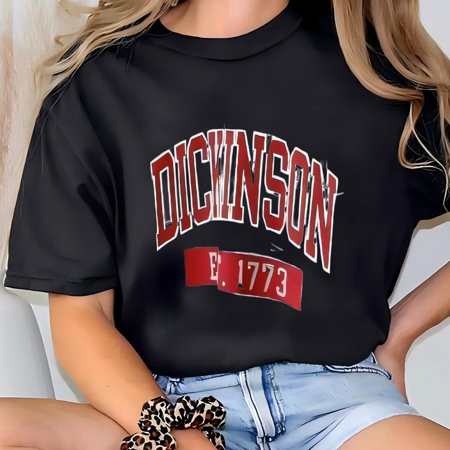Vintage 00s/ Dickinson/ College/ Vintage Jerzees Sweatshirt (l) T-shirt