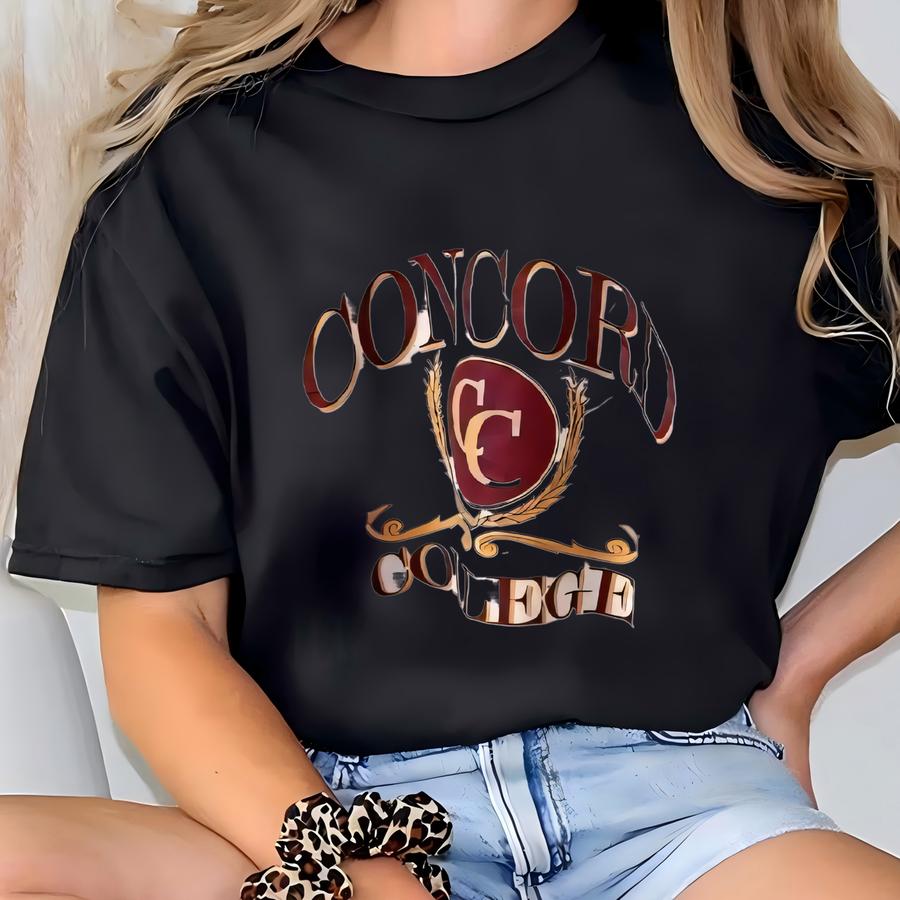 Vintage 90s/ Concord/ College/ Vintage Summit Outfitter Gray Sweatshirt (xl) T-shirt