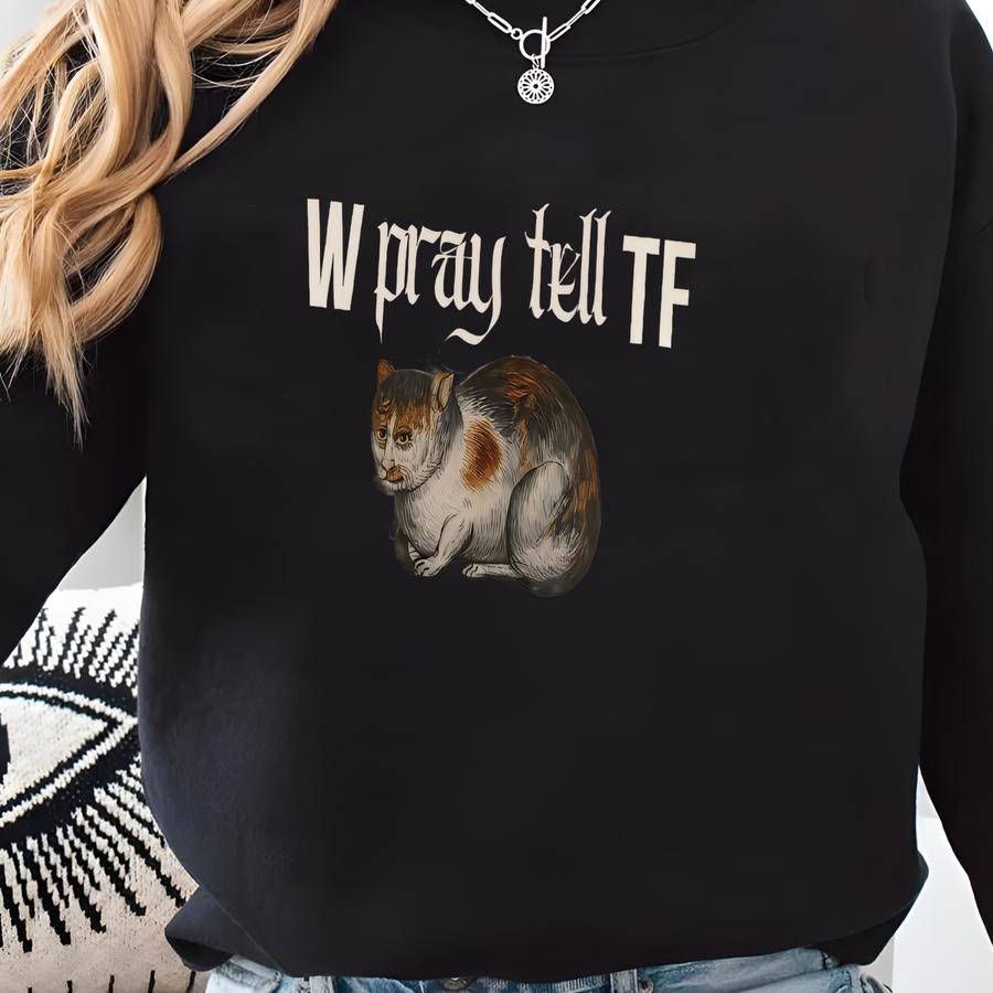 Medeival Shirt Castlecore Shirt Shirts That Go Hard Cursed Shirt Oddly Specific Weirdcore Stupid Shirt Funny Cat Meme Offensive T Shirts Sweatshirt