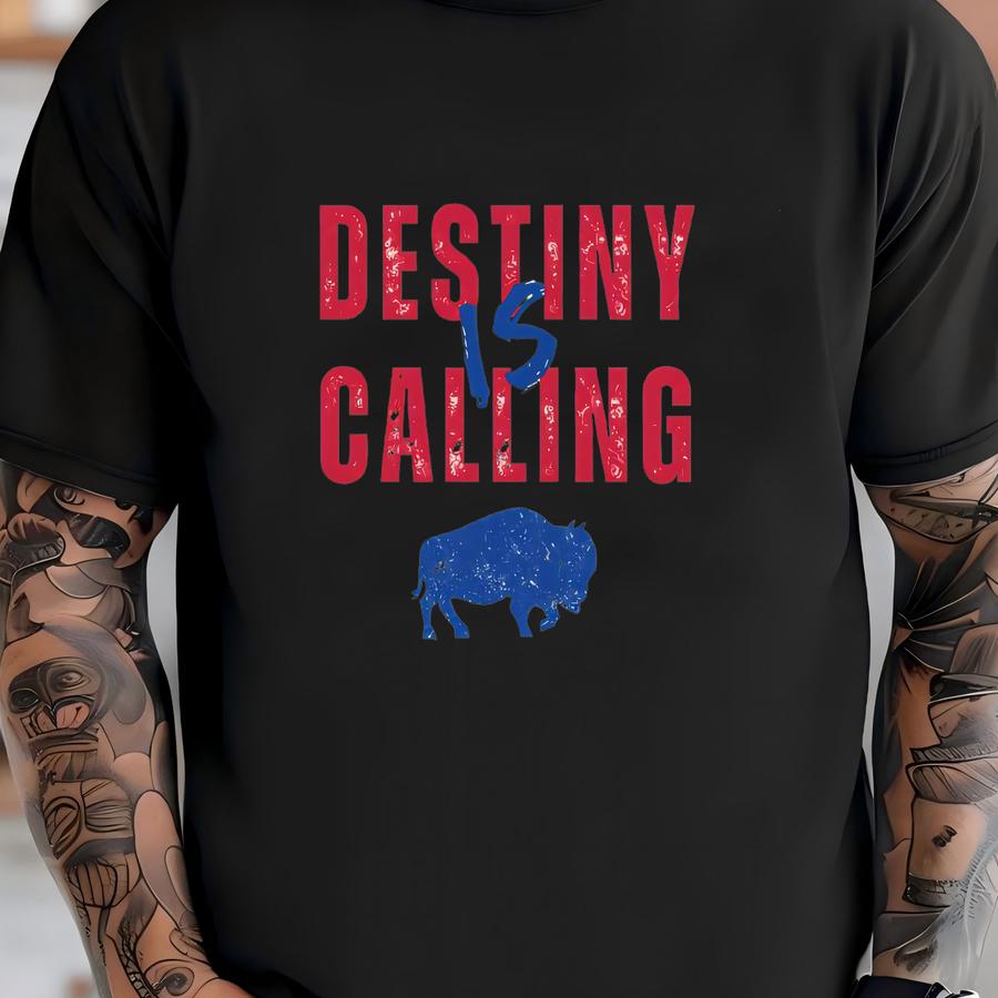 Destiny Is Calling Buffalo Football Hoodie: Vintage Style Print , 716 Buf T-shirt