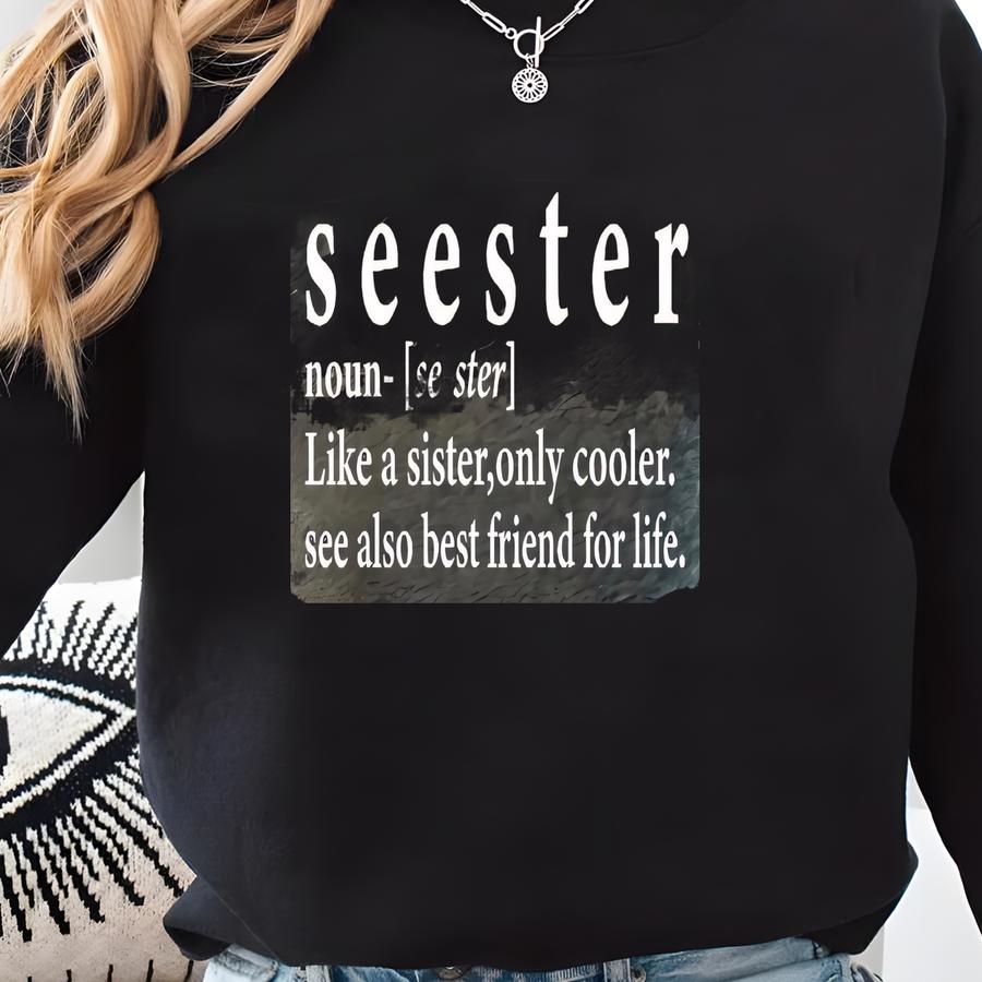 Seester Noun Shirt, Gift For Sister, Best Sister Gift, Funny Saying Shirt, Sister Noun Shirt,funny Saying Tee,sarcastic Tee,best Sister Gift Sweatshirt