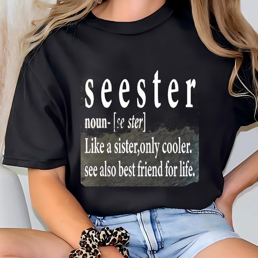 Seester Noun Shirt, Gift For Sister, Best Sister Gift, Funny Saying Shirt, Sister Noun Shirt,funny Saying Tee,sarcastic Tee,best Sister Gift T-shirt