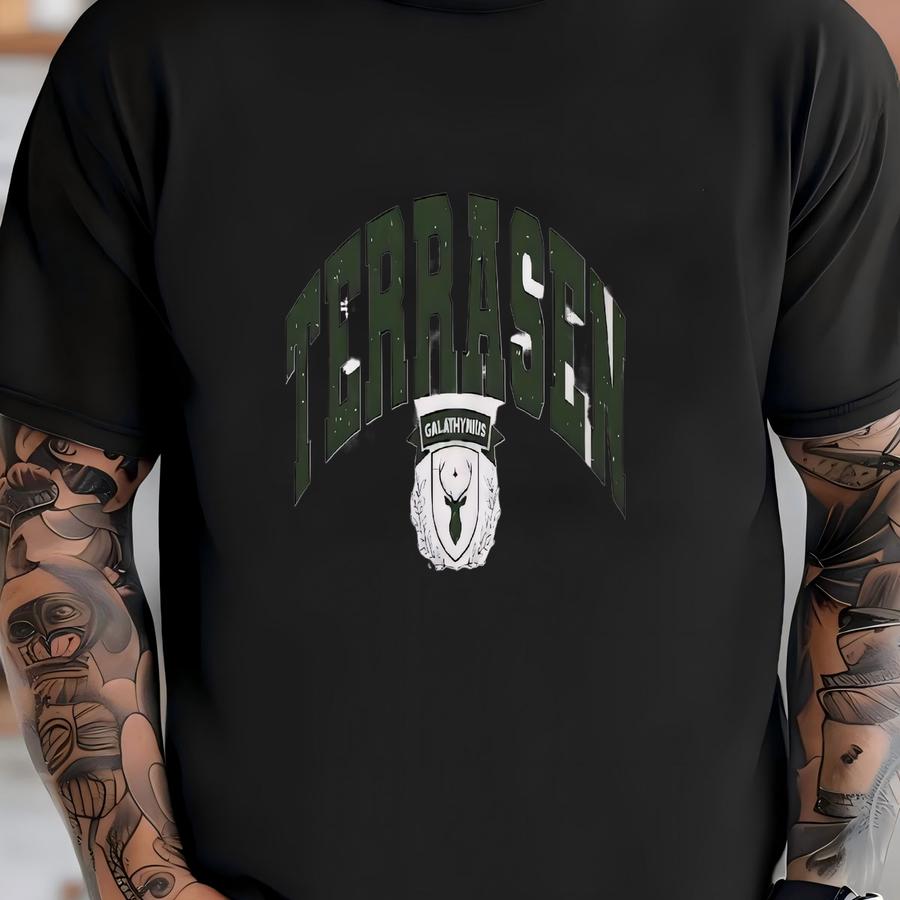 Terrasen Hoodie, Terrasen Sweater, Throne Of Glass Hoodie, Gift For The Rhysand Fan Girl, Acotar Merch, Aelin Galathynius, Tog T-shirt