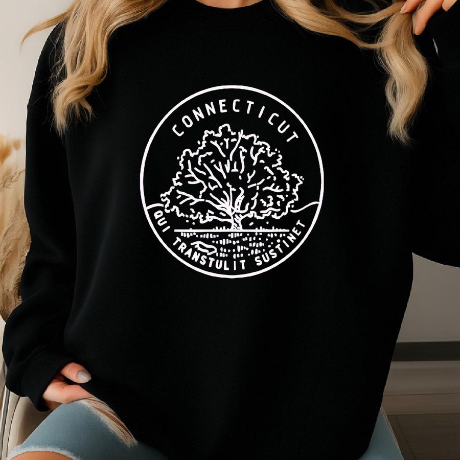Connecticut State Sweatshirt, Connecticut Pride Sweatshirt, Connecticut Lover Gift, Connecticut Travel Souvenir, Cozy Connecticut Crewneck Sweatshirt