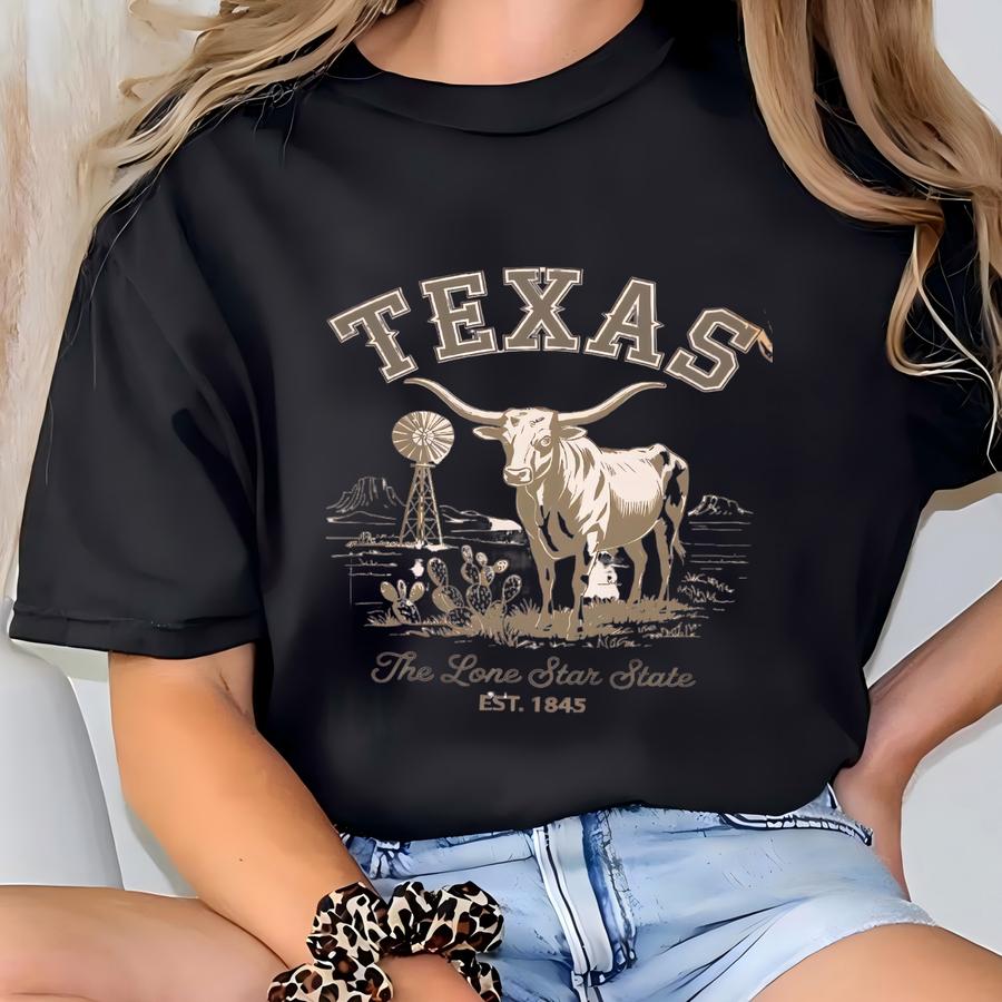 State Of Texas Longhorn Unisex Garment-dyed Hoodie, Travel, College, University, Texan, Lonestar State T-shirt