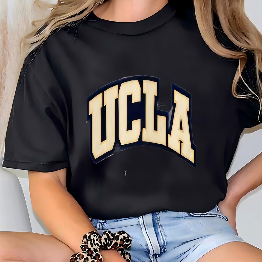 Vintage University California Los Angeles Sweatshirt Crewneck Pullover Ucla Bruins Logo Grey Large T-shirt
