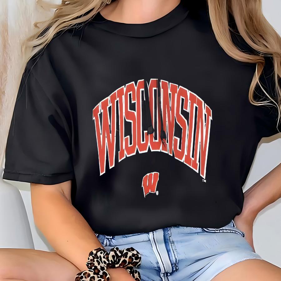 Vintage Badgers Ncaa Hoodie Sweatshirt Large Badgers Logo Sweater University Of –madison Jumper L T-shirt