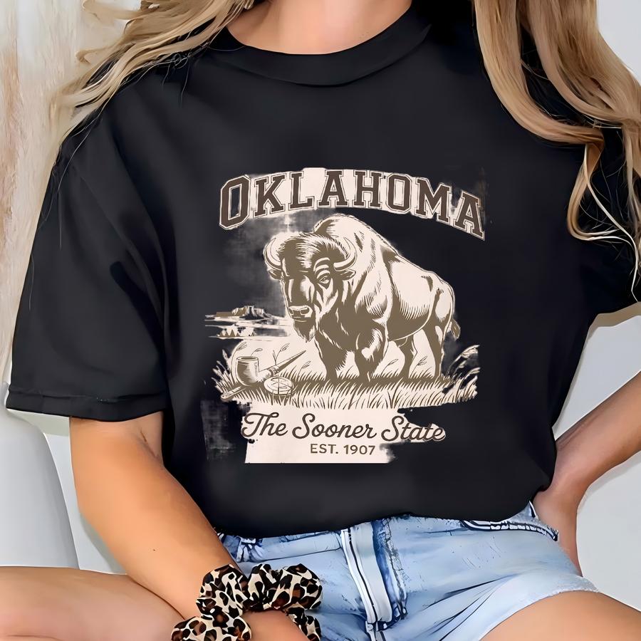 Retro State Of Oklahoma Buffalo Sooner State Minimal Neutral Vintage Style Sweatshirt Unisex Heavy Blend™ Crewneck , Tshirt T-shirt
