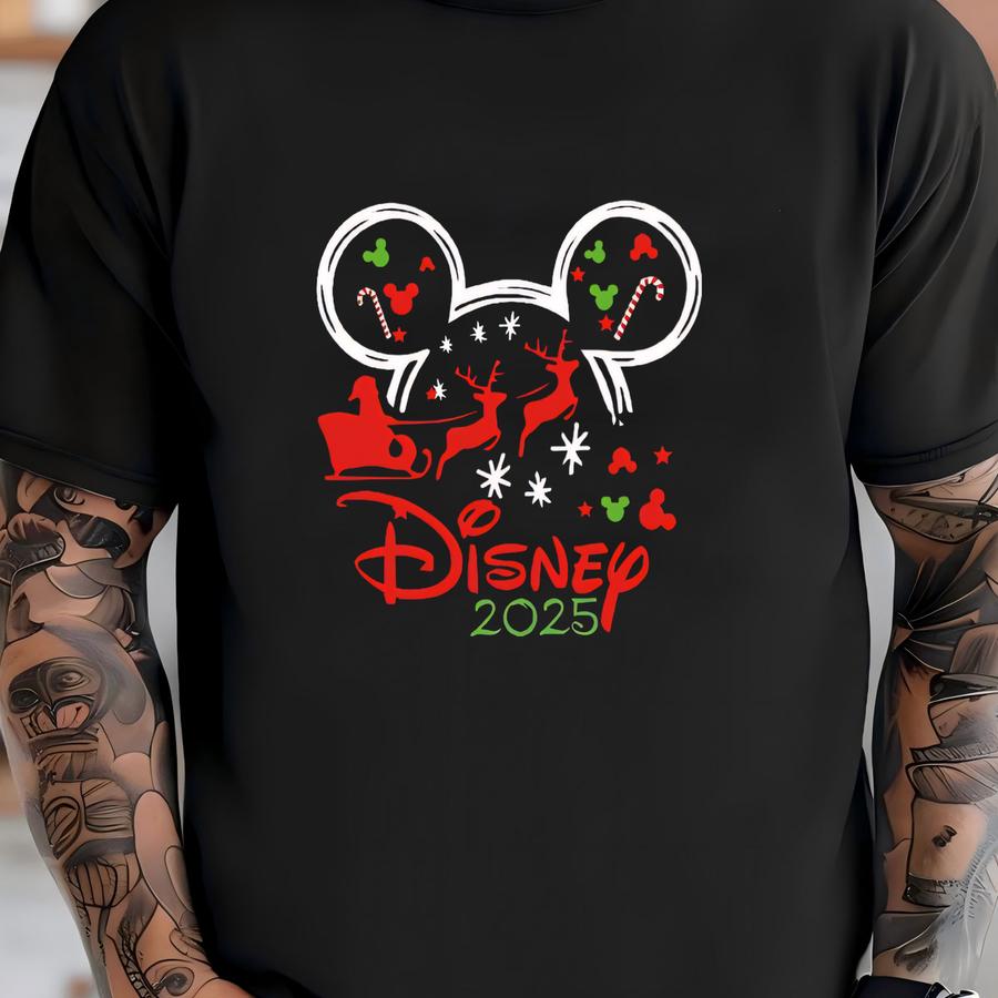 Magical Christmas Sweatshirt, Holiday Hoodie With Santa Sleigh  Ears Design T-shirt