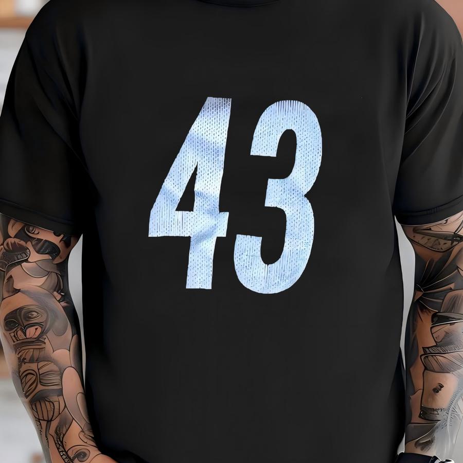 Vintage 00’s Pittsburgh Steelers Football Custom Crop Style #43 Jersey Xl T-shirt