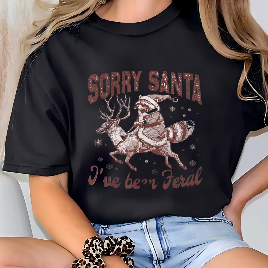 Sorry Santa I've Been Sweatshirt: Funny Raccoon Meme Christmas Hoodie T-shirt