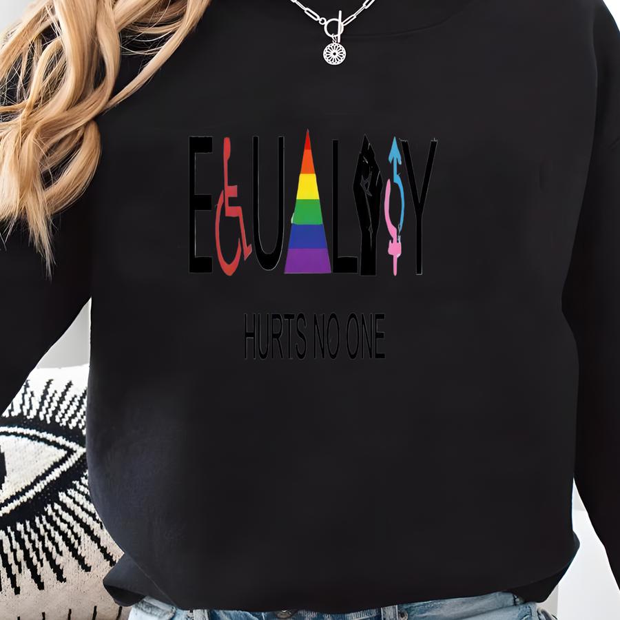 Equality Hurts No One Hoodie, Equal Rights Hoodie, Lgbtq Hoodie, Rainbow Hoodie, Human Rights Hoodie, Social Justice Hoodie Sweatshirt