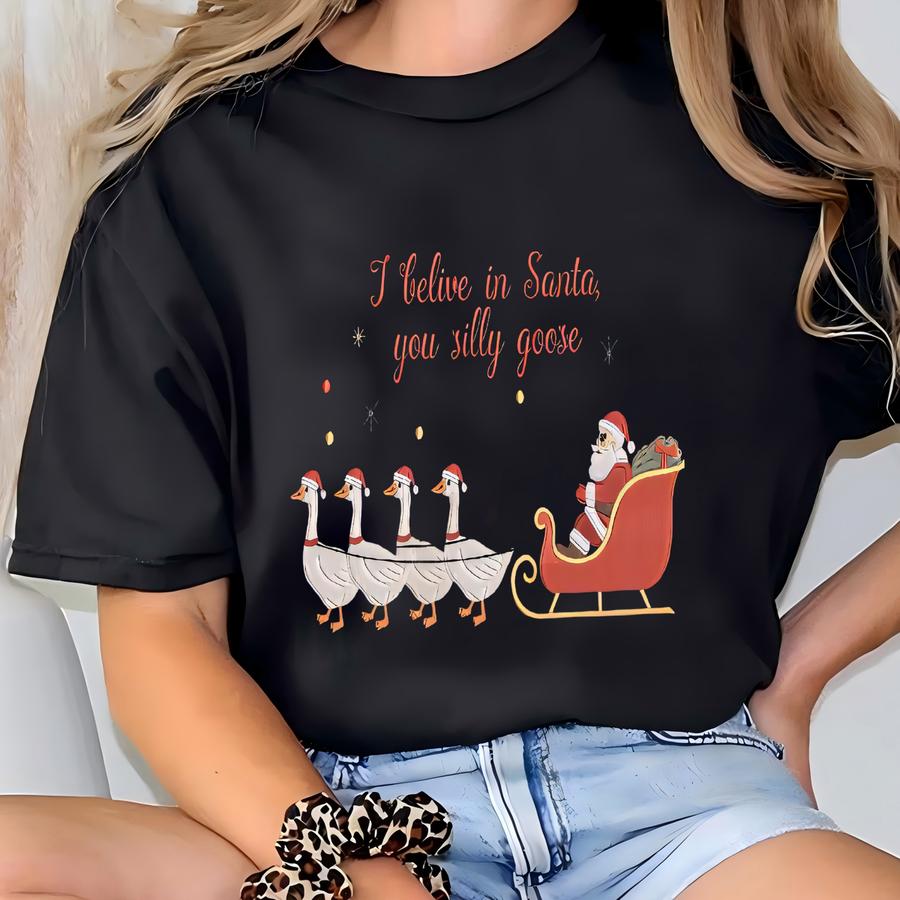 I Believe In Santa You Silly Goose Sweatshirt: Christmas Silly Goose Sweatshirt T-shirt